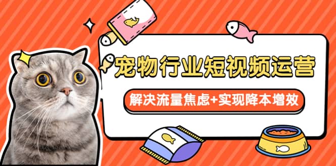 宠物/行业短视频运营 流量增长的一层窗户纸 解决流量焦虑+实现降本增效-南风轻创