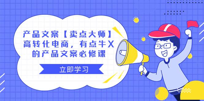 产品文案【卖点大师】高转化电商，有点牛X的 产品文案必修课-南风轻创