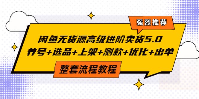 闲鱼无货源高级进阶卖货5.0，养号+选品+上架+测款+优化+出单整套流程教程-南风轻创