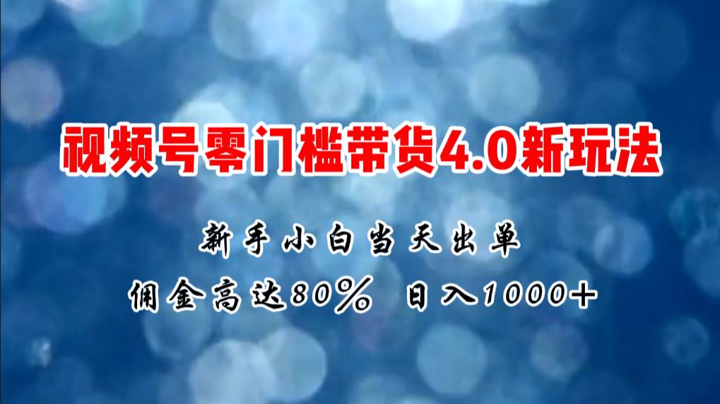微信视频号零门槛带货4.0新玩法，新手小白当天见收益，日入1000+-南风轻创