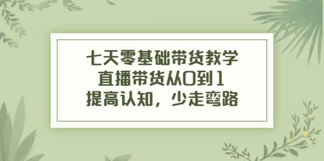 七天零基础带货教学，直播带货从0到1，提高认知，少走弯路-南风轻创