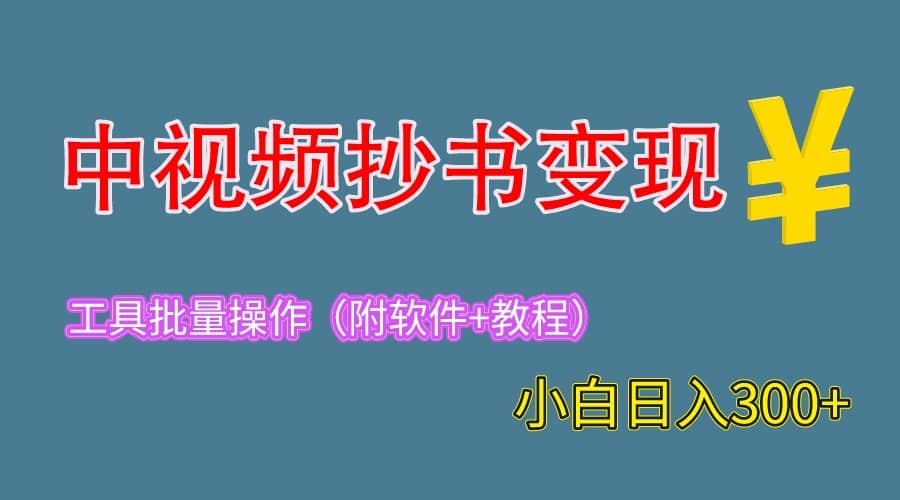 2023中视频抄书变现（附工具+教程），一天300+，特别适合新手操作的副业-南风轻创