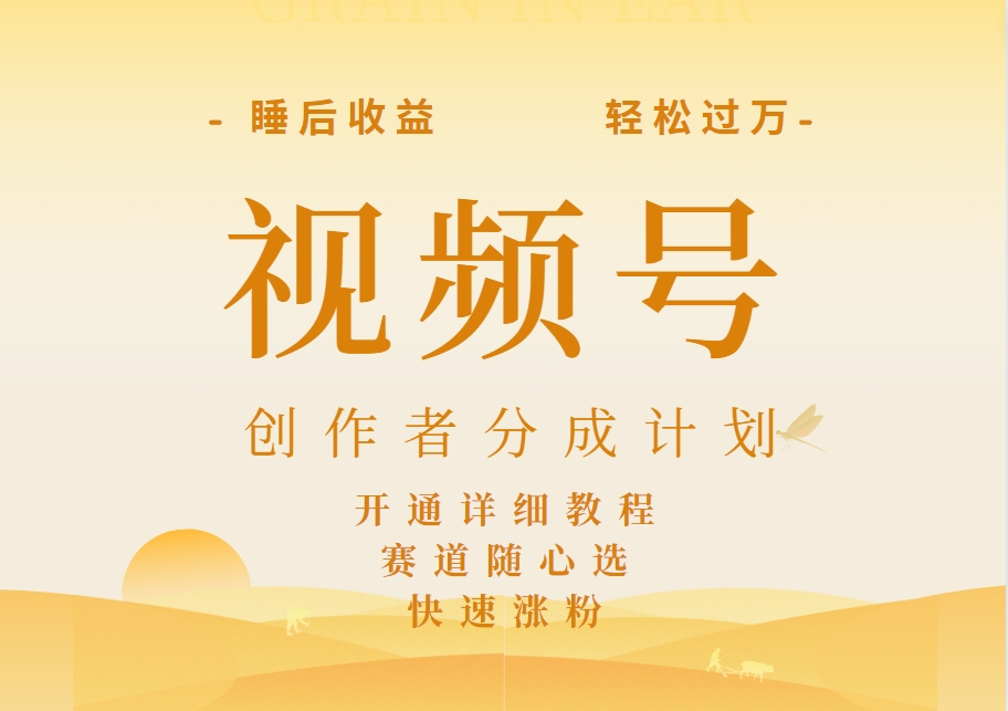详解视频号创作者分成计划，暴力起号，可同步多平台，实现睡后收入2W+，看懂即可操作！-南风轻创