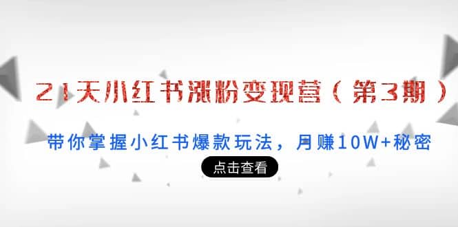 21天小红书涨粉变现营（第3期）：带你掌握小红书爆款玩法，月赚10W+秘密-南风轻创