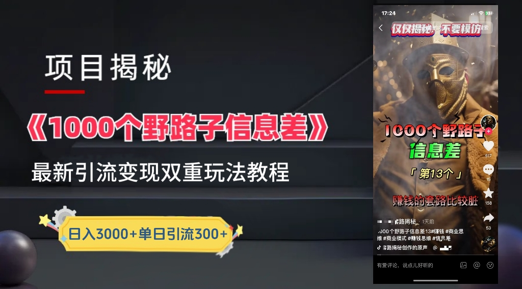最新一千个野路子信息差玩法教程如何变现＋引流的玩法具体拆解！！！-南风轻创