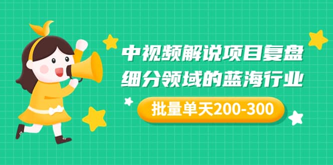 某付费文章：中视频解说项目复盘：细分领域的蓝海行业 批量单天200-300收益-南风轻创