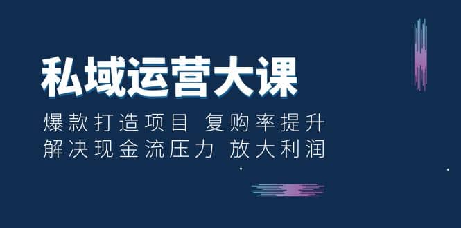 私域运营大课：爆款打造项目 复购率提升 解决现金流压力 放大利润-南风轻创