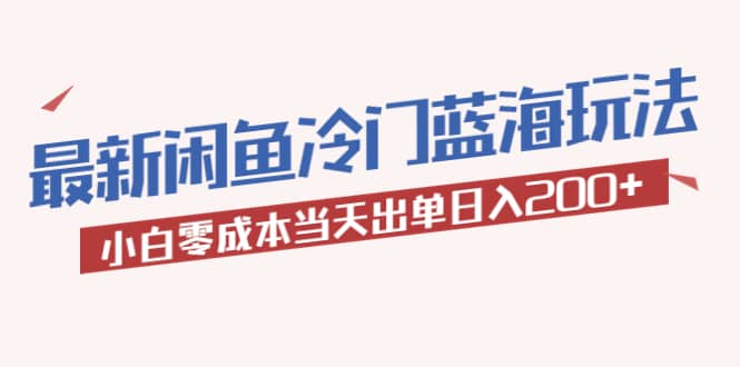2023最新闲鱼冷门蓝海玩法，小白零成本当天出单日入200+-南风轻创