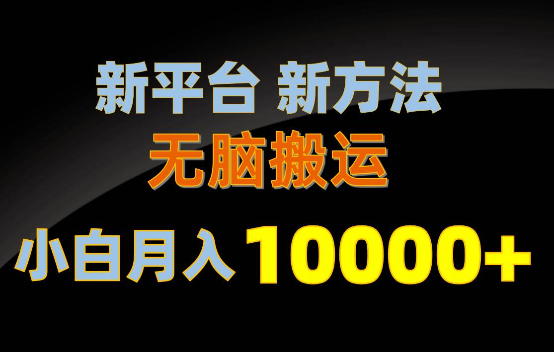 新平台新方法，无脑搬运，月赚10000+，小白轻松上手不动脑-南风轻创