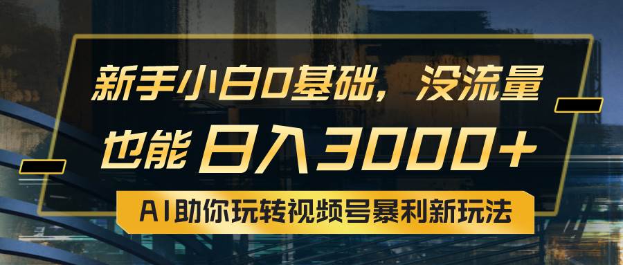 小白0基础，没流量也能日入3000+：AI助你玩转视频号暴利新玩法-南风轻创