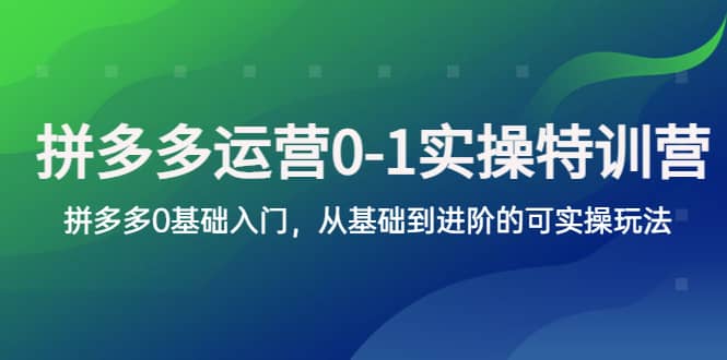 拼多多-运营0-1实操训练营，拼多多0基础入门，从基础到进阶的可实操玩法-南风轻创