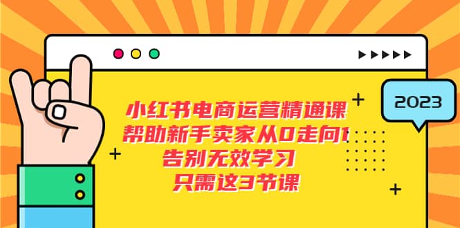 小红书电商·运营精通课，帮助新手卖家从0走向1 告别无效学习（7节视频课）-南风轻创