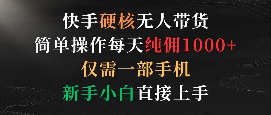 快手硬核无人带货，简单操作每天纯佣1000+,仅需一部手机，新手小白直接上手-南风轻创