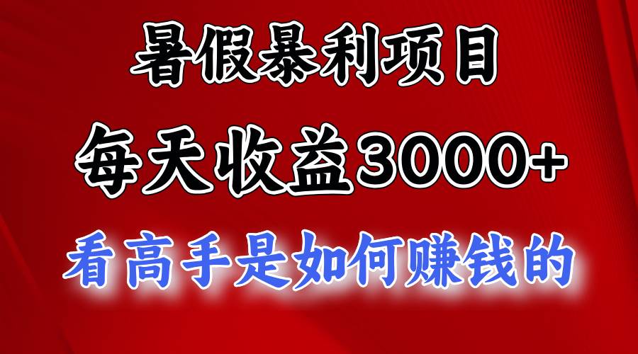 暑假暴利项目，每天收益3000+ 努努力能达到5000+，暑假大流量来了-南风轻创