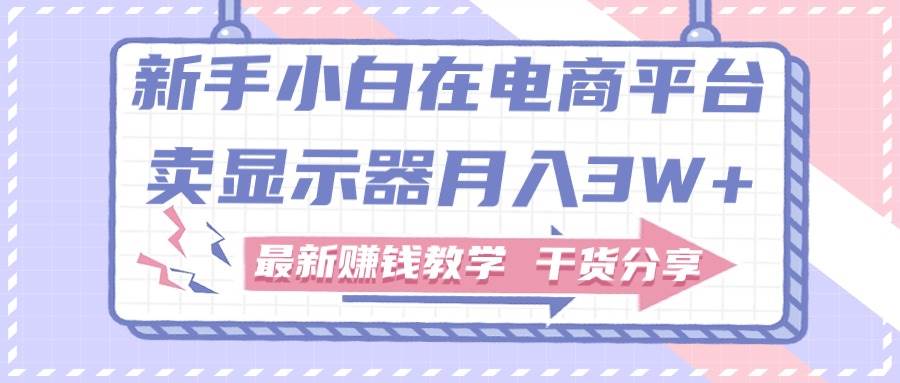 新手小白如何做到在电商平台卖显示器月入3W+，最新赚钱教学干货分享-南风轻创