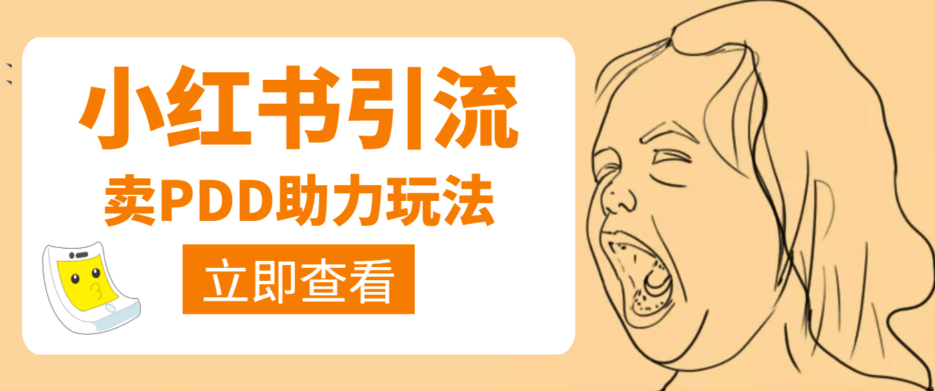 利用小红书卖拼多多助力-南风轻创