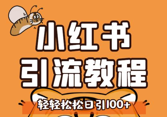 小红书运营引流全系列课程，每天引流100精准粉-南风轻创