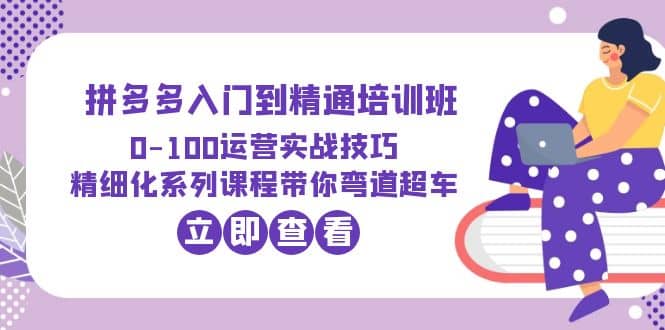 2023拼多多入门到精通培训班：0-100运营实战技巧 精细化系列课带你弯道超车-南风轻创