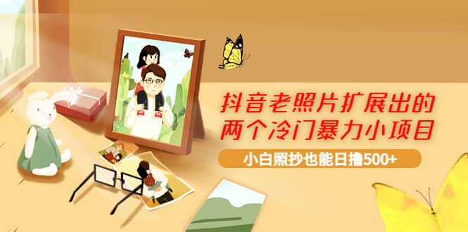 抖音老照片扩展出的两个冷门暴力小项目，小白照抄也能日撸500+-南风轻创