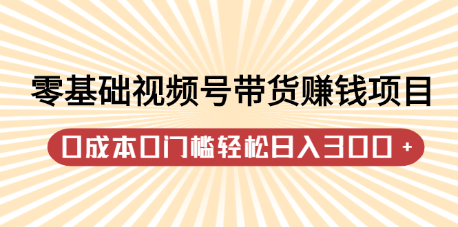 零基础视频号带货赚钱项目，0成本0门槛轻松日入300+【视频教程】-南风轻创
