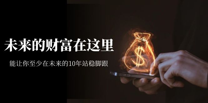 某收费文章《未来的财富在这里》能让你至少在未来的10年站稳脚跟-南风轻创