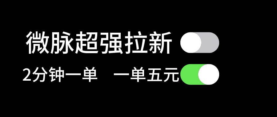 微脉超强拉新， 两分钟1单， 一单利润5块，适合小白-南风轻创