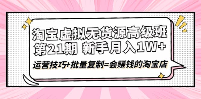 淘宝虚拟无货源高级班【第21期】运营技巧+批量复制=会赚钱的淘宝店-南风轻创