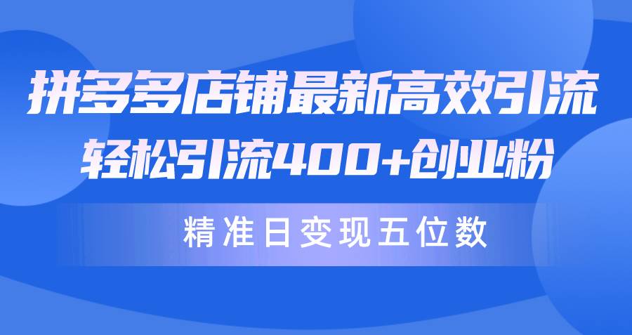 拼多多店铺最新高效引流术，轻松引流400+创业粉，精准日变现五位数！-南风轻创