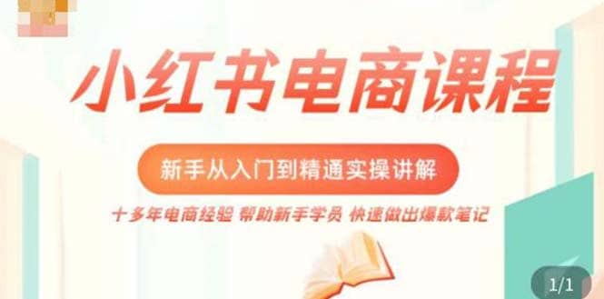 小红书电商新手入门到精通实操课，从入门到精通做爆款笔记，开店运营-南风轻创