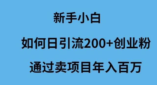 新手小白如何日引流200+创业粉通过卖项目年入百万-南风轻创