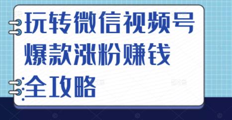 玩转微信视频号爆款涨粉赚钱全攻略，让你快速抓住流量风口，收获红利财富-南风轻创