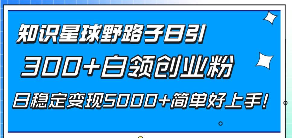知识星球野路子日引300+白领创业粉，日稳定变现5000+简单好上手！-南风轻创