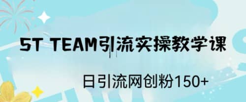 ST TEAM引流实操课，日引流网创粉100+-南风轻创