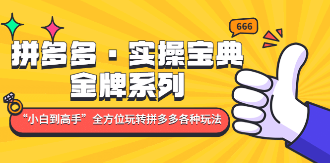 拼多多·实操宝典：金牌系列“小白到高手”带你全方位玩转拼多多各种玩法-南风轻创