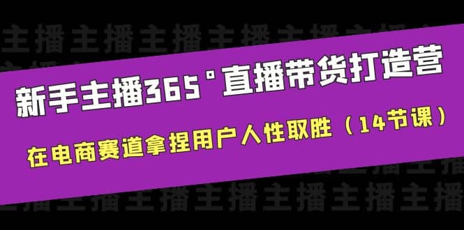 新手主播365°直播带货·打造营，在电商赛道拿捏用户人性取胜（14节课）-南风轻创