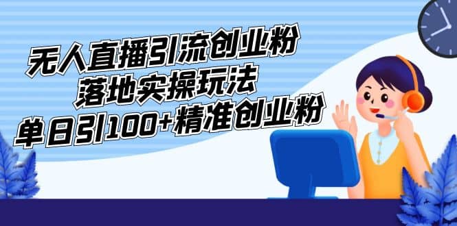外面收费3980的无人直播引流创业粉落地实操玩法，单日引100+精准创业粉-南风轻创