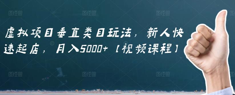 虚拟项目垂直类目玩法，新人快速起店，月入5000+【视频课程】-南风轻创