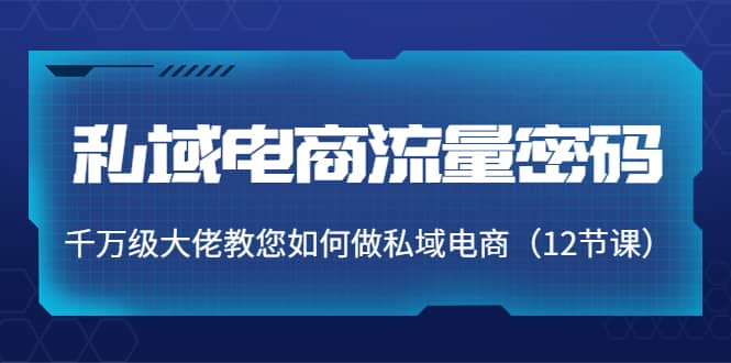 私域电商流量密码：千万级大佬教您如何做私域电商（12节课）-南风轻创