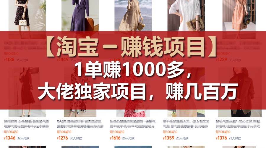 【淘宝赚钱项目】1单可赚1000多，大佬独家项目，年赚几百万-南风轻创