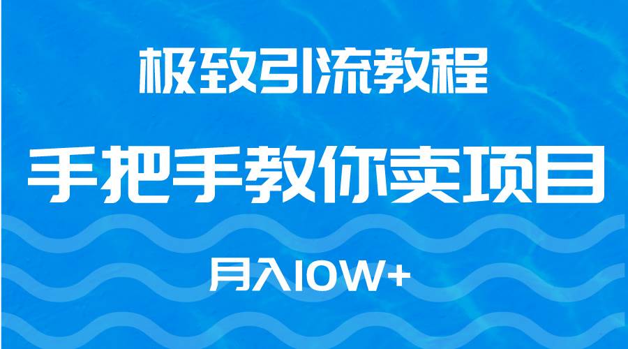 极致引流教程，手把手教你卖项目，月入10W+-南风轻创