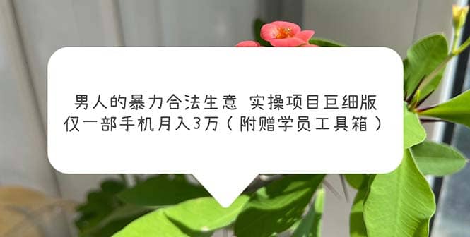 男人的暴力合法生意实操项目巨细版：仅一部手机月入3w（附赠学员工具箱）-南风轻创