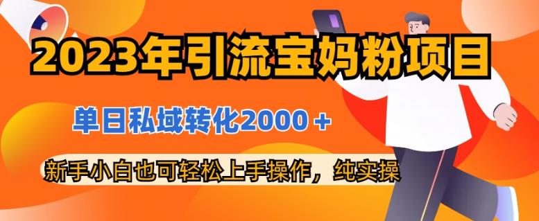 2023年引流宝妈粉项目，单日私域转化2000＋，新手小白也可轻松上手操作，纯实操-南风轻创