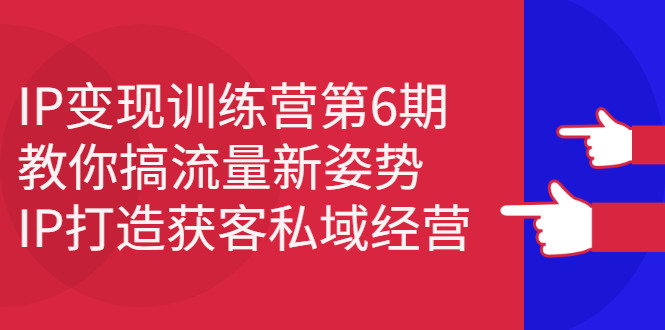 IP变现训练营第6期：教你搞流量新姿势，IP打造获客私域经营-南风轻创