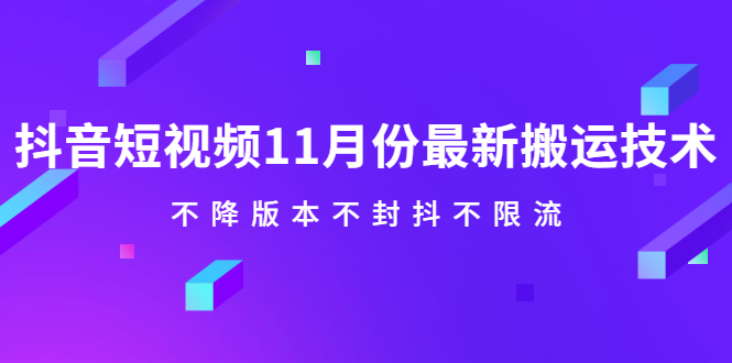 抖音短视频11月份最新搬运技术，不降版本不封抖不限流！【视频课程】-南风轻创