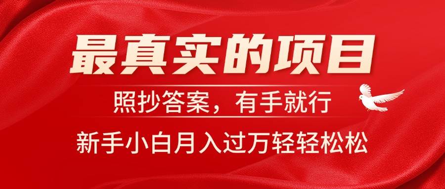最真实的项目，照抄答案，有手就行，新手小白月入过万轻轻松松-南风轻创