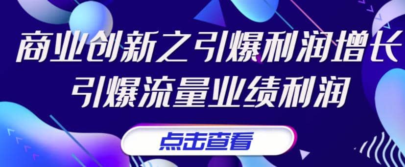 《商业创新之引爆利润增长》引爆流量业绩利润-南风轻创
