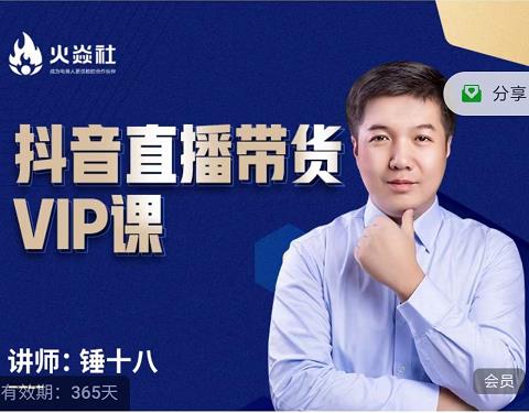 锤十八-抖音直播带货VIP课，专注直播带货有效盈利模式-南风轻创