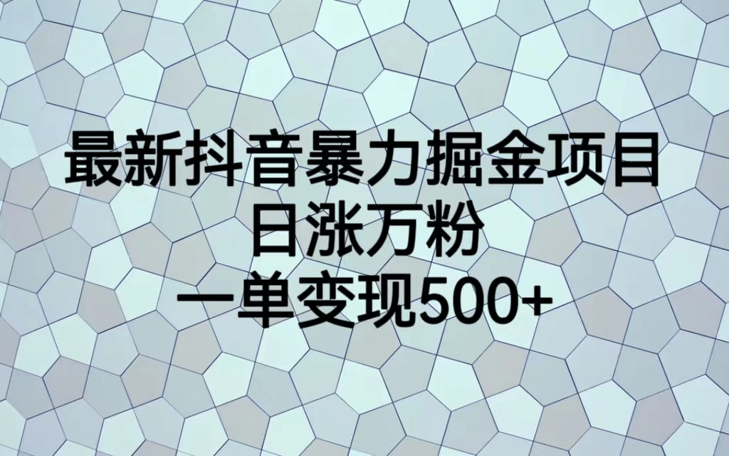 最火热的抖音暴力掘金项目，日涨万粉，多种变现方式，一单变现可达500+-南风轻创