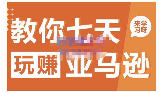 晟尧跨境·教你七天玩赚亚马逊，教你轻松玩赚亚马逊，适合小白学习-南风轻创