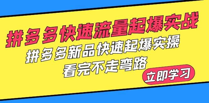 拼多多-快速流量起爆实战，拼多多新品快速起爆实操，看完不走弯路-南风轻创
